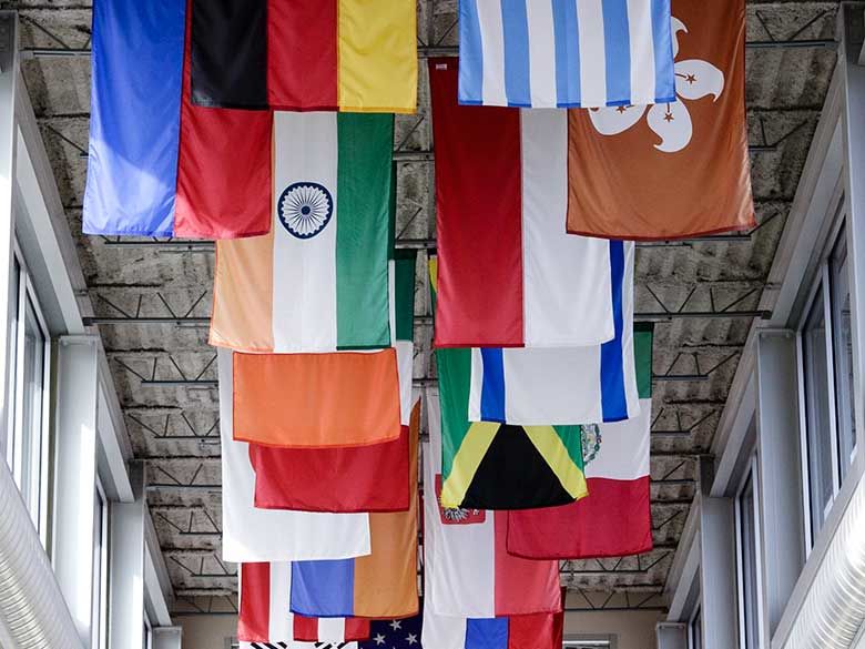 Flags representing the international reach of some special programs.
