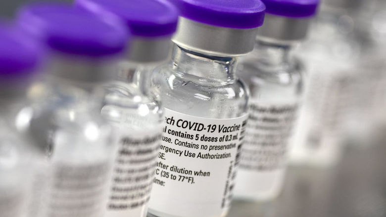 Row of vaccine vials with purple lids.