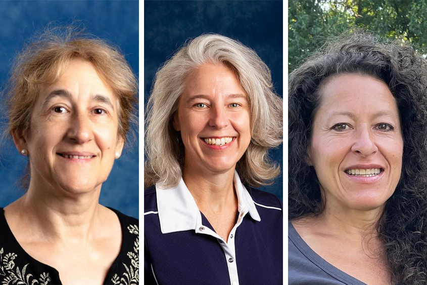 Headshots of three female Penn State Hazleton faculty members.