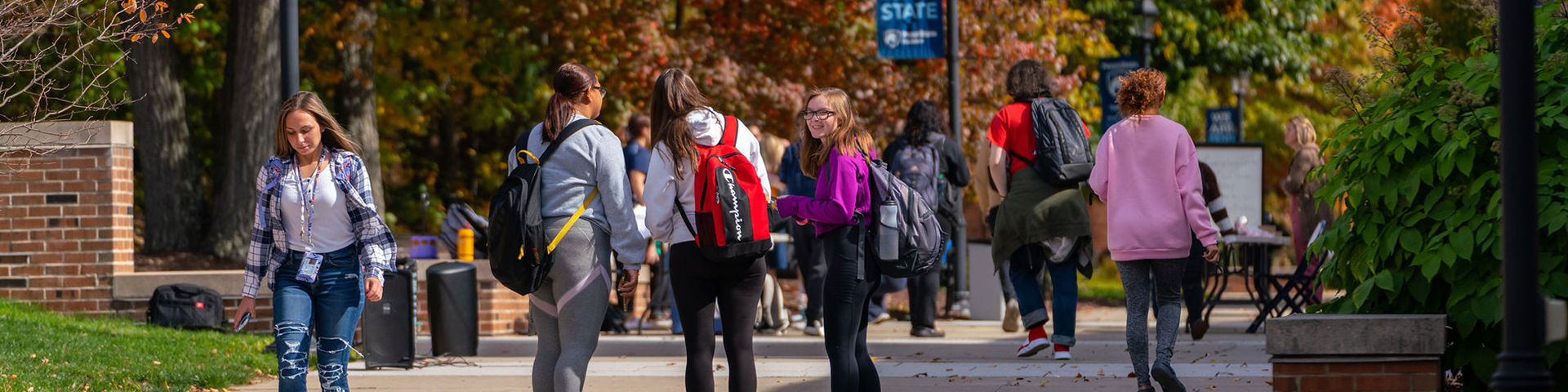 Crowd of students walking down campus mall on a fall day.