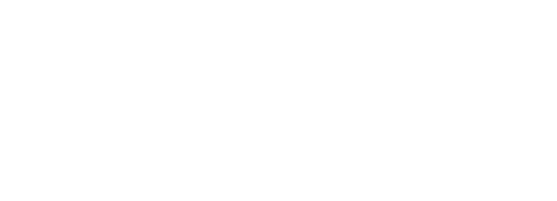 Request Information Criminal Justice