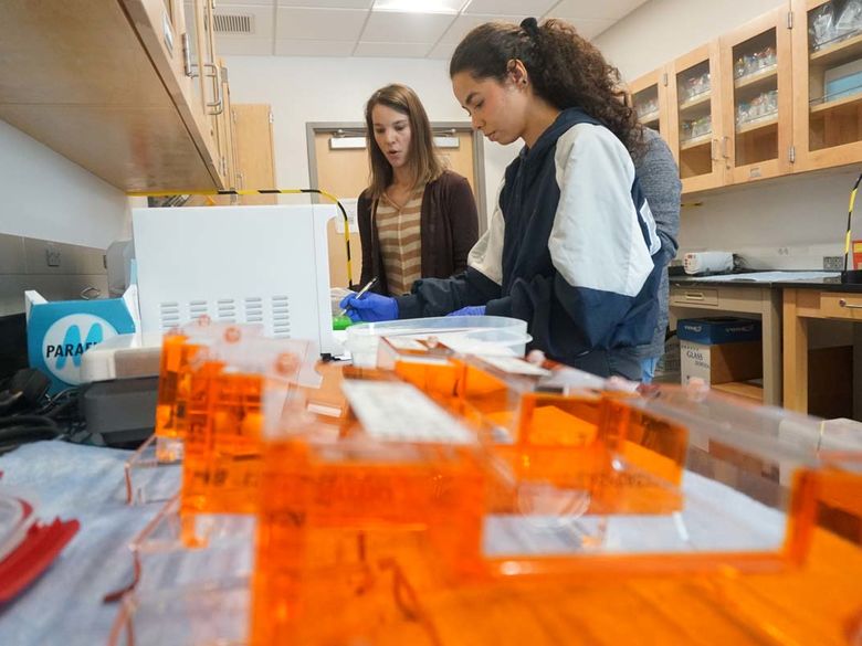 Student and teacher working together in a biology laboratory with orange plastic equipment in foreground.