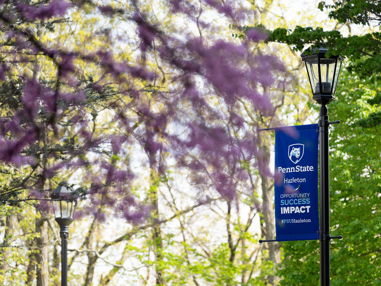 Tree with pink flowers on branches with blue Penn State Hazleton banner hanging from lightpole beyond.