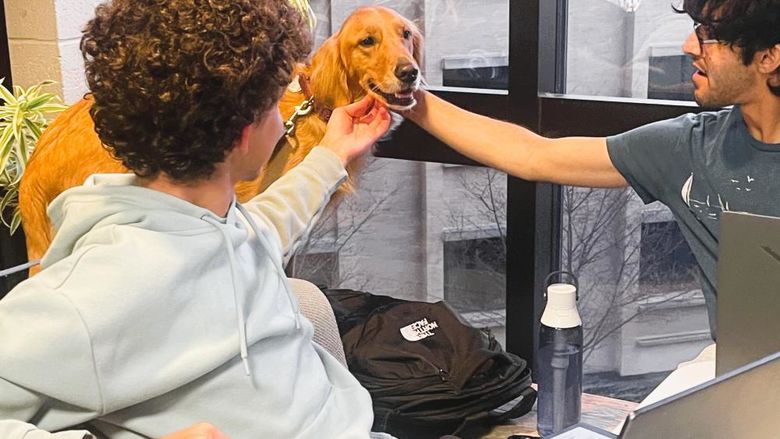 two students, sitting with laptops, are petting a golden retriever 