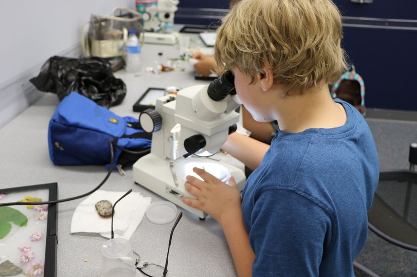 A camper in last year's Critter Camp at Penn State Hazleton studies his findings under a microscope.