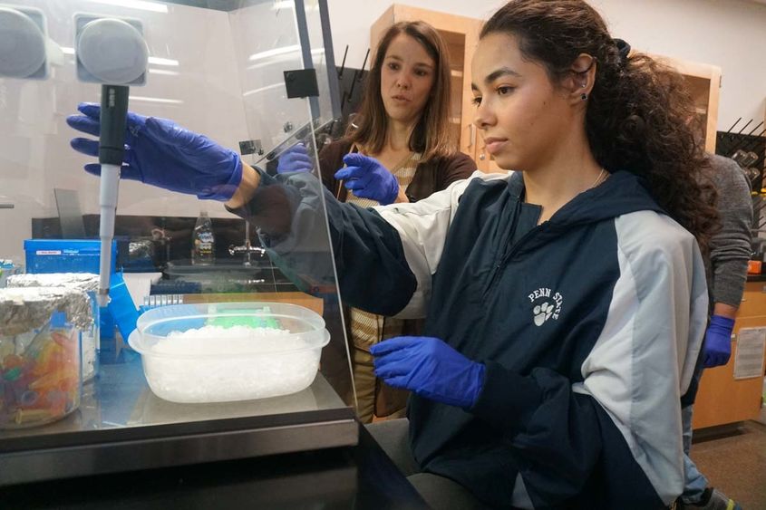 Female student handling biology equipment under supervision of professor.