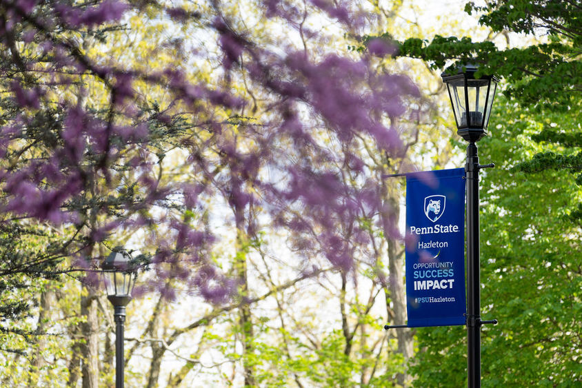 A blue Penn State Hazleton banner on a lightpost with a pink flowered tree in the foreground.
