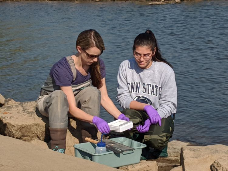 Two women kneeling on rocks beside a river studying water samples.