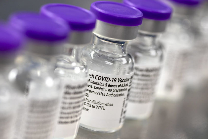 Row of vaccine vials with purple lids.