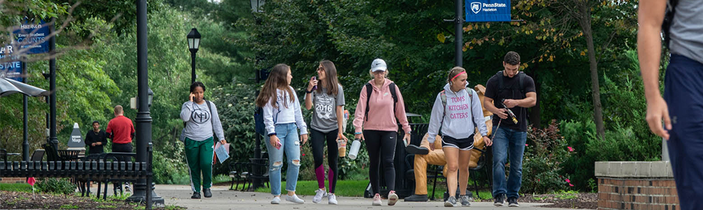 Students walking on the campus mall.
